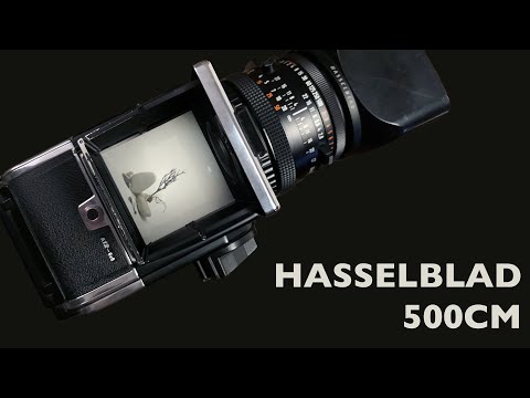 Видео: Обзор Hasselblad 500cm, а точнее моего комплекта