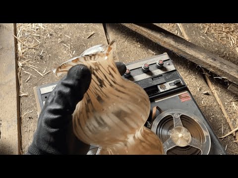 Видео: Обзор новых находок со свалки