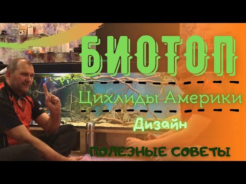 Видео: Диалоги об аквариуме. Выпуск №2. Дизайн. Биотоп. Цихлиды Америки. Уару, геофагус и др. (Часть 1).