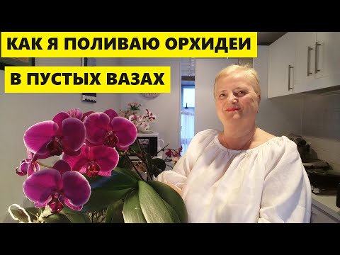 Видео: КАК Я ПОЛИВАЮ ОРХИДЕИ В ПУСТЫХ ВАЗАХ