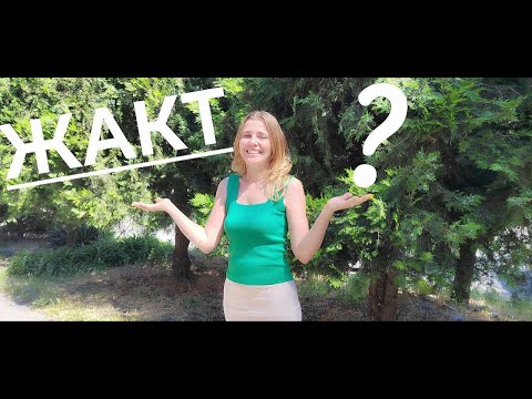 Видео: ЖАКТ в Таганроге. Так что это дом, квартира или часть дома? Раскрываю секрет