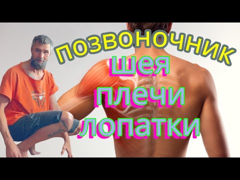 Видео: Зарядка для позвоночника лопаток шеи