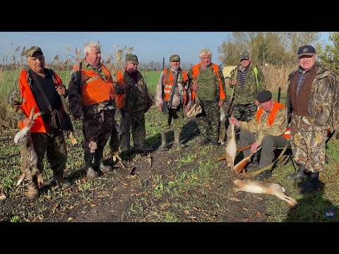 Видео: Ветераны на охоте по зайцу. Честь и хвала организаторам!