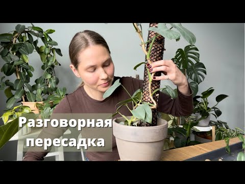 Видео: Разговорная пересадка.