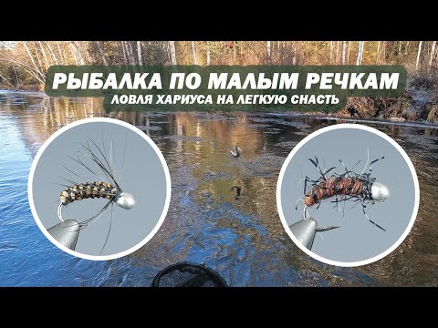 Видео: Рыбалка по малым речкам. Ловля Хариуса на легкую снасть.