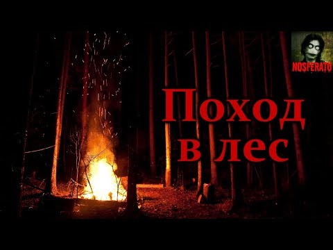 Видео: Истории на ночь - Поход в лес