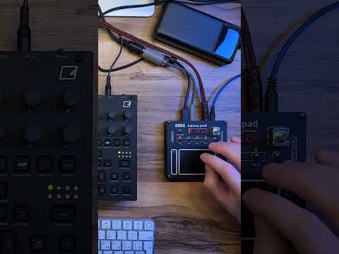 Видео: Korg NTS-3 самый дешевый 4х модульный эффектор на рынке #korg #effects #fx #sounddesign #nts3