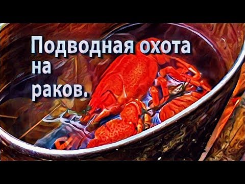 Видео: Подводная охота на раков.