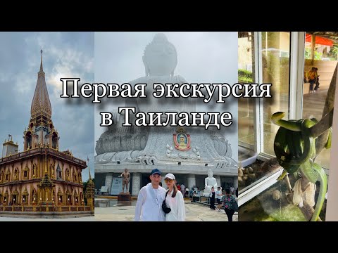 Видео: БЕСПЛАТНАЯ ЭКСКУРСИЯ В ТАИЛАНДЕ | ЗМЕИНАЯ ФЕРМА | ФАБРИКА ЛАТЕКСА | БОЛЬШОЙ БУДДА 🌴