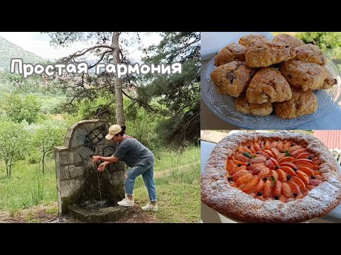 Видео: #31 Как живётся в греческой деревне🇬🇷 Простая жизнь с видом на горы | Душевной выпечка