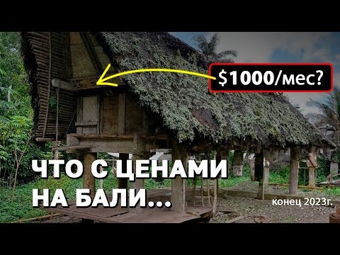 Видео: Сколько РЕАЛЬНО стоит месяц жизни НА БАЛИ в 2023? ВСЁ СТАЛО ЕЩЁ ДОРОЖЕ!