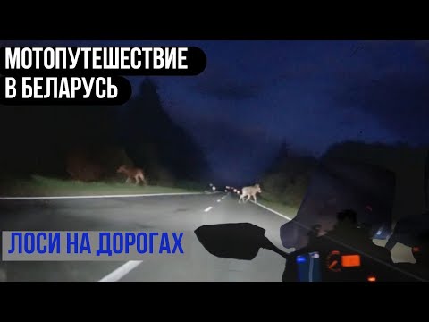 Видео: Мотопутешествие в Беларусь. Замена колеса и деревни северной части Беларуси