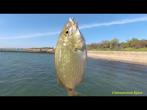 Видео: Морская рыбалка. Микроджиг и мормышинг.