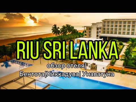 Видео: 34. RIU SRI LANKA - полный обзор отеля, Бентота, Хиккадува, Унаватуна, обзор пляжей и цен #шриланка