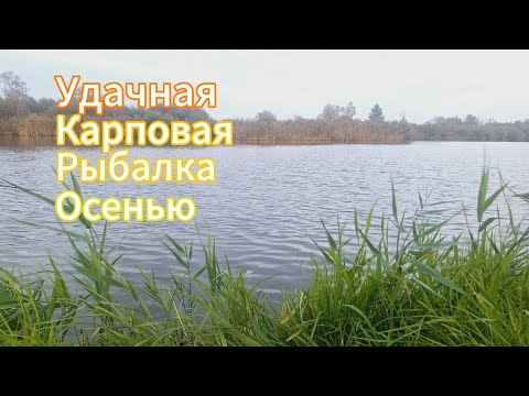 Видео: УДАЧНАЯ Карповая рыбалка на флет ОСЕНЬЮ.