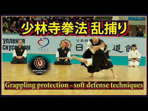 Видео: Защита в грэпплинге, демонстрация приемов мягкой защиты Сёриндзи Кэмпо (дзюхо).