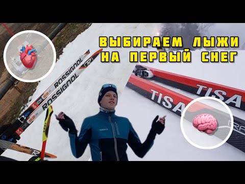 Видео: Как выбрать лыжи на первый снег?