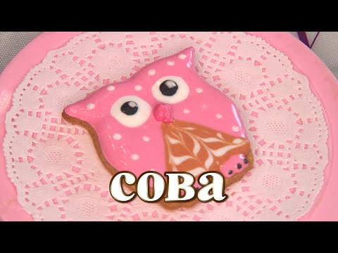 Видео: Сова