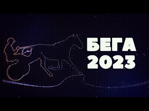 Видео: PRO_Событие. Бега 2023. 4 февраля 2024 года.