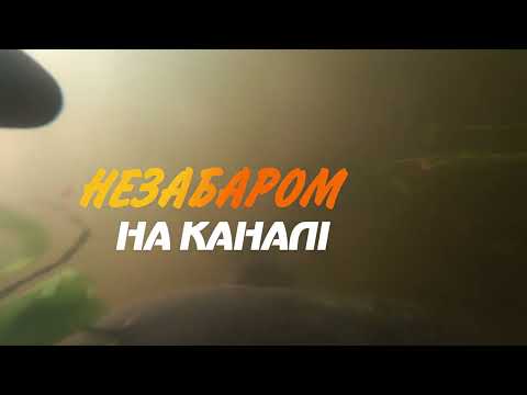 Видео: ТРОФЕЙ!!! | ПІДВОДНЕ ПОЛЮВАННЯ 2024