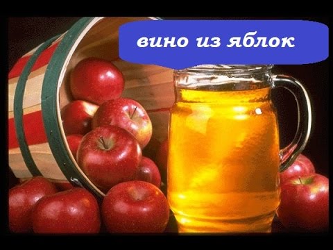 Видео: КАК ПРИГОТОВИТЬ ВИНО/ ЯБЛОЧНОЕ ВИНО/МУЖЧИНА НА КУХНЕ