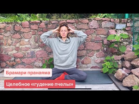 Видео: Брамари пранаяма — дыхание для ясности ума, укрепления здоровья и устойчивости нервной системы.