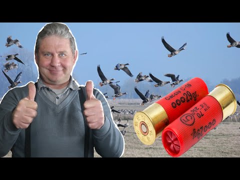 Видео: лучший патрон на гуся весной.