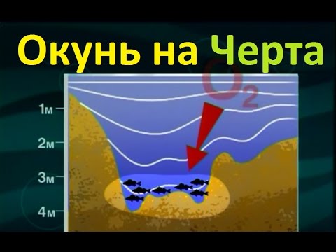 Видео: Диалоги о рыбалке -118- Глухозимье, ловля окуня на черта