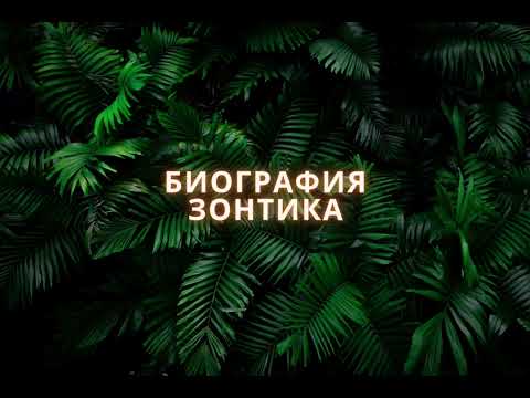 Видео: Биография зонтика | Смешарики Аудио сказка.