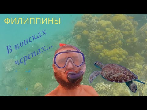 Видео: СНОРКЛИНГ НА ОСТРОВЕ НЕГРОС, ФИЛИППИНЫ! РИФЫ И ТЫСЯЧИ РЫБ!