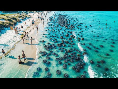 Видео: Невероятные Моменты, Снятые на Камеру. Лучшее за Месяц