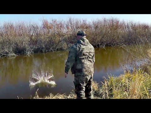 Видео: Хапуга против спиннингов, такого Крокодилы ещё не видели! Клев как на черных камнях!