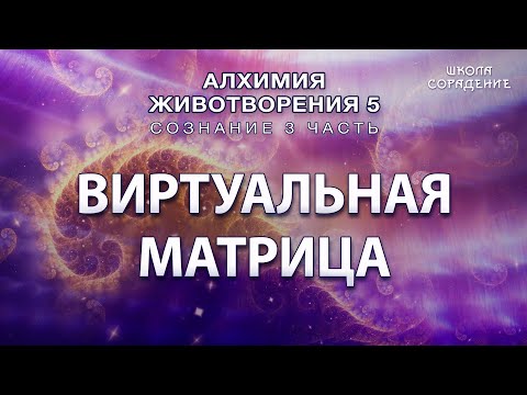 Видео: Виртуальная матрица #Гарат #Сознание3 #Алхимияживотворения #ЖивыеСеминары #школаСорадение
