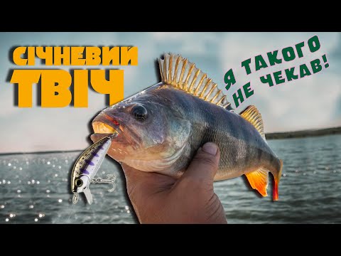 Видео: Окунь в січні на воблери! Що сталося з природою цього року?