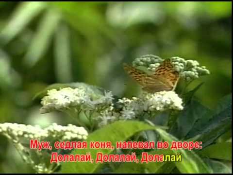 Видео: ДОЛАЛАЙ