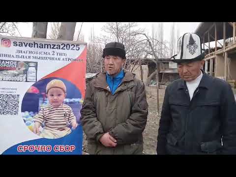 Видео: Хамзага жардам