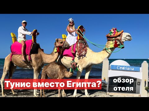 Видео: Тунис 2025| остров Джерба| отель Cedriana