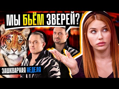 Видео: ЖЕСТОКИЕ МЕТОДЫ ЗАПАШНЫХ! | Что происходит в цирке?