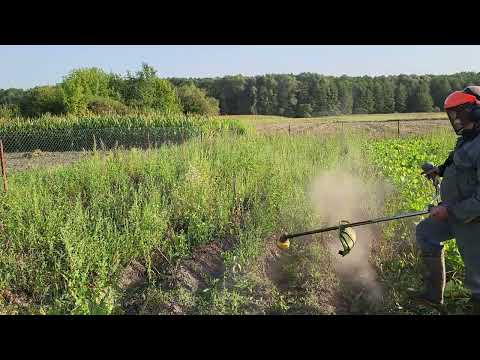 Видео: Как покосить ботву картофеля мотокосой.