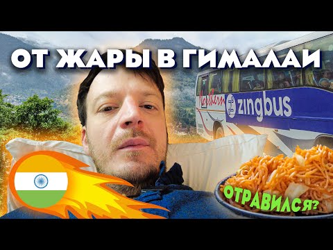 Видео: Из Дели до Манали в Гималаи на автобусе