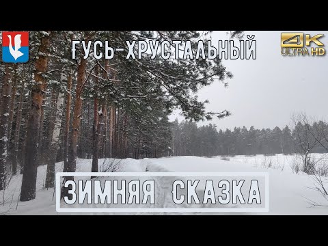 Видео: Зимняя сказка / Прогулка по лесу зимой в 4К / Walk through the forest in winter in 4K