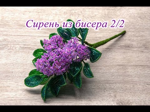 Видео: СИРЕНЬ из БИСЕРА - мастер-класс. Урок 2/2 - Цветы сирени и сборка композиции