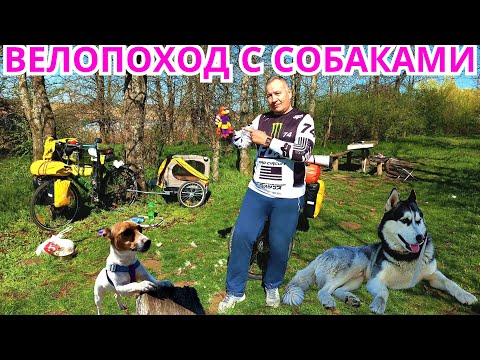 Видео: Велопоход с собаками. Сосиски на костре. Ночёвка в палатке.