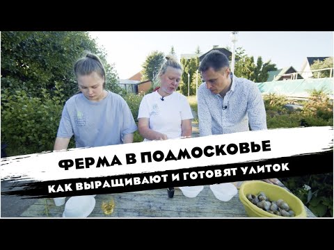 Видео: ФЕРМА УЛИТОК|КАК ВЫРАЩИВАЮТ И ГОТОВЯТ УЛИТОК|ЖИВАЯ КОСМЕТИКА|ЭКЗОТИКА ПО-БУРГУНДСКИ|ОТ СОХИ ДО СОХИ