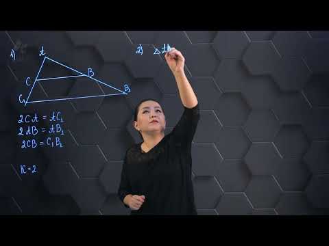 Видео: Ұқсастық түрлендіру. Практикалық бөлім. 9 сынып.