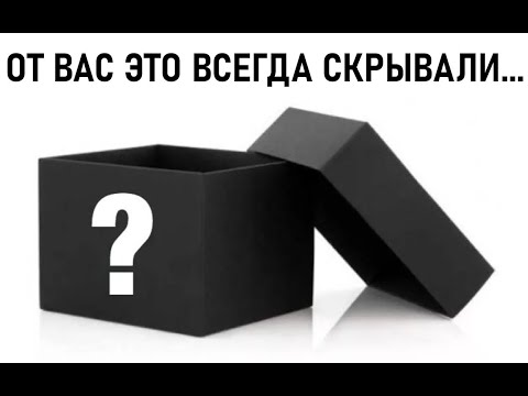 Видео: То, что вам никогда не покажут | Как проходит внутренний тест расчетной программы