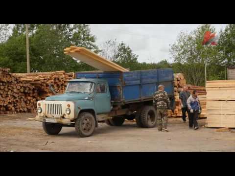 Видео: Специальный репортаж "Пудож. Город зеро"