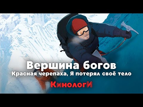 Видео: Кинологи. Я потерял красную черепаху на вершине богов