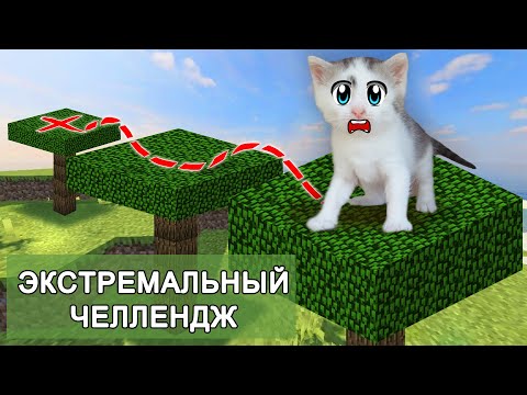 Видео: ЭКСТРЕМАЛЬНЫЙ ЧЕЛЛЕНДЖ для КОТОВ! КТО ЛУЧШЕ из ЖИВОТНЫХ? ПОДПИСЧИКИ выбирают ПОБЕДИТЕЛЯ