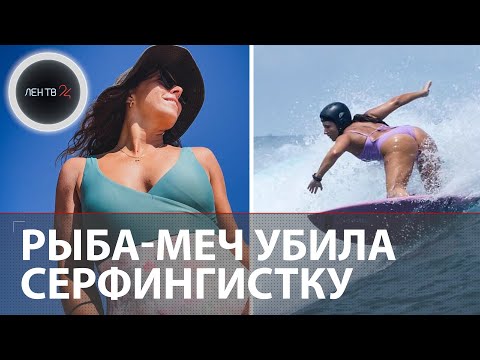 Видео: Рыба-меч пронзила серфингистку: это второй случай за всю историю